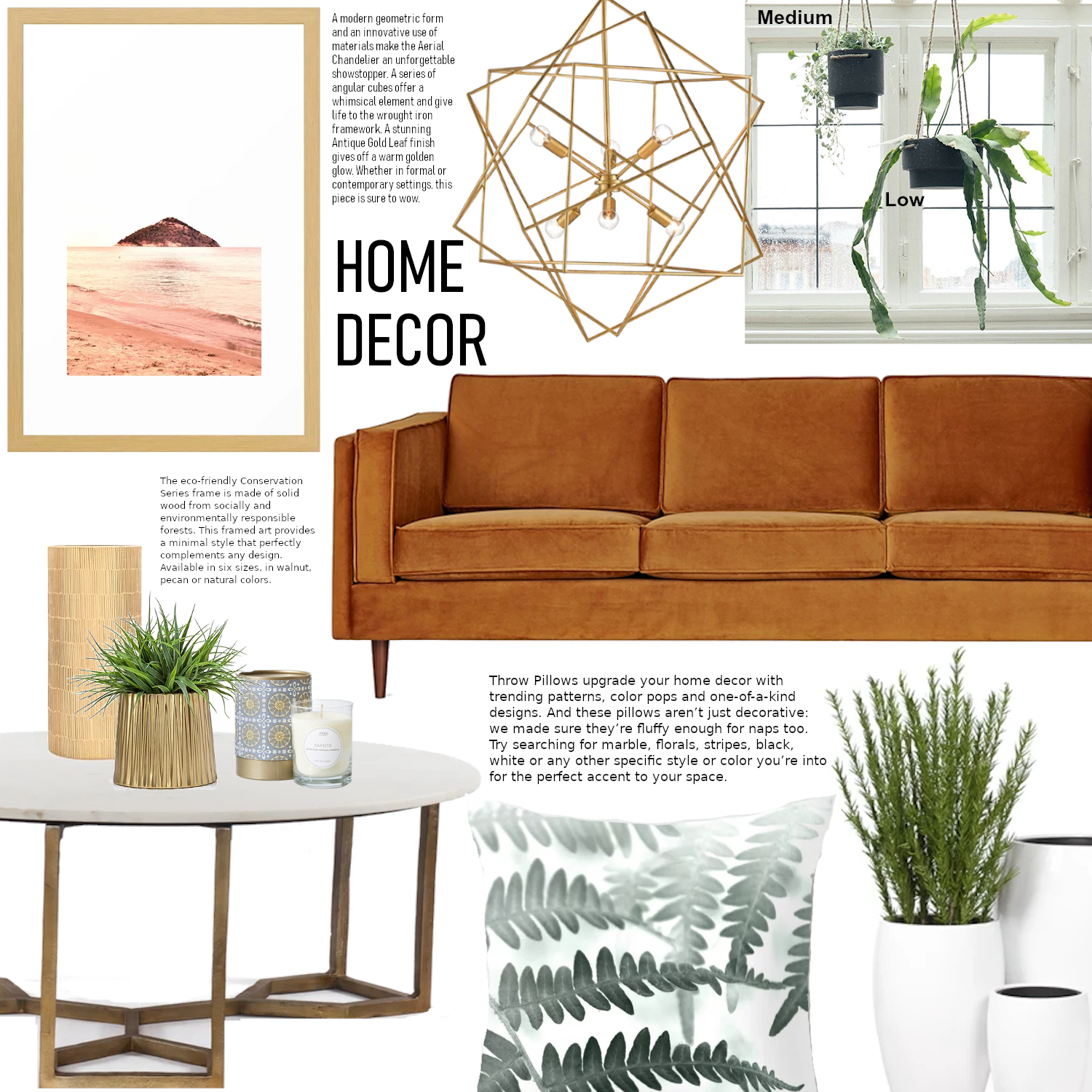 0807 Get the style Leather sofa vs greenery